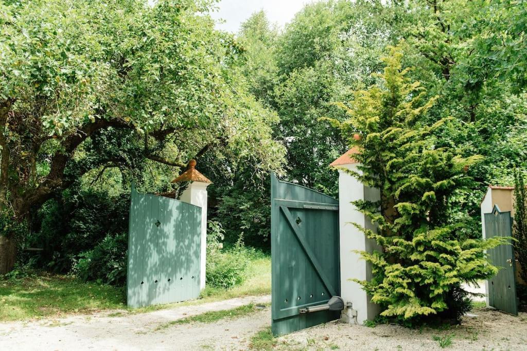 Ferienwohnung In Der Villa Sana Mit Grossem Garten Rofingen ภายนอก รูปภาพ