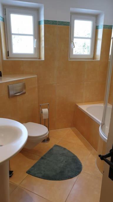 Ferienwohnung In Der Villa Sana Mit Grossem Garten Rofingen ภายนอก รูปภาพ